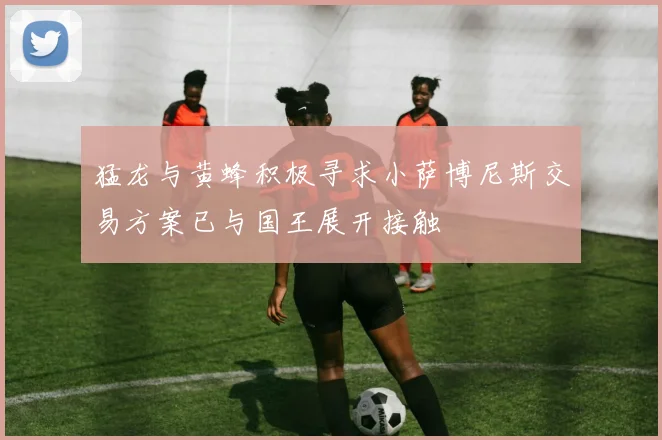 猛龙与黄蜂积极寻求小萨博尼斯交易方案已与国王展开接触